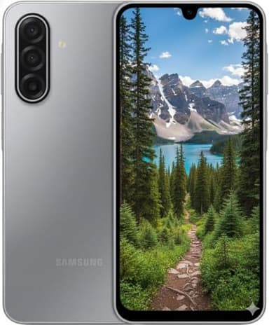 SAMSUNG Galaxy A17 128GB (Gray, Android, 4 GB)